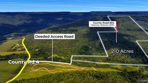 210 Acres of Land for Sale in Hollytree, Alabama