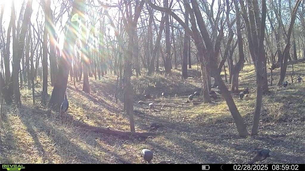 164 Acres of Recreational Land for Sale in Osawatomie, Kansas