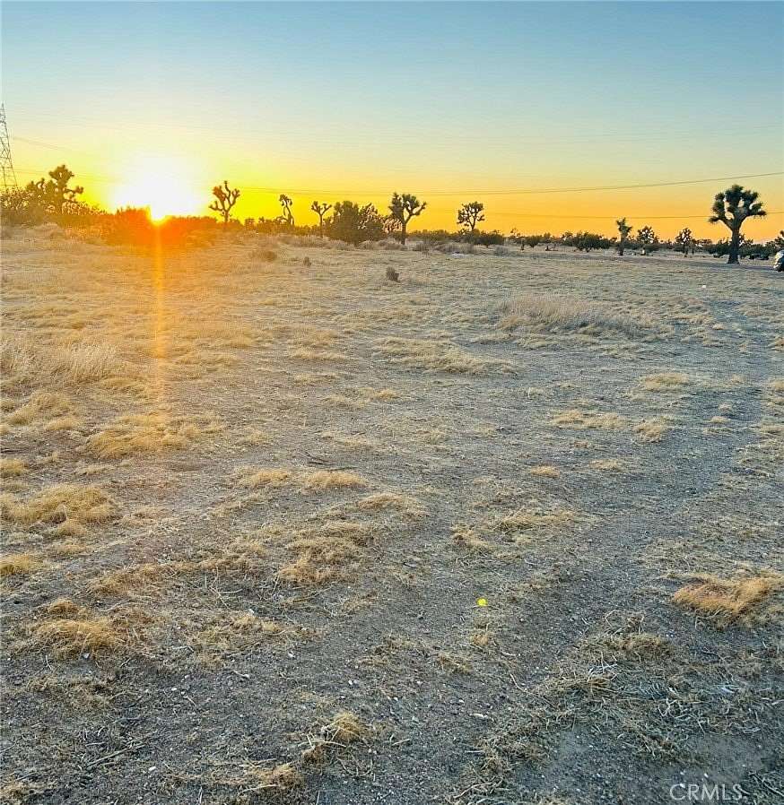 2.5 Acres of Residential Land for Sale in Joshua Tree, California