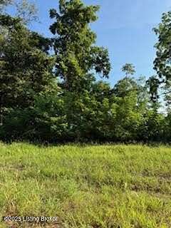 1.15 Acres of Residential Land for Sale in La Grange, Kentucky