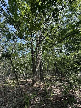 20 Acres of Recreational Land & Farm for Sale in Hillman, Michigan