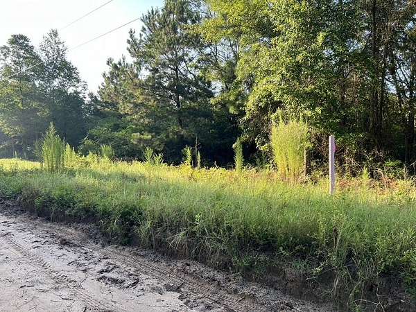 16.7 Acres of Land for Sale in Trenton, South Carolina