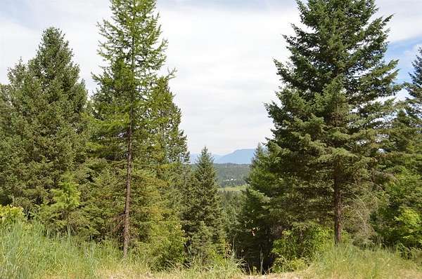 7 Acres of Residential Land for Sale in Whitefish, Montana