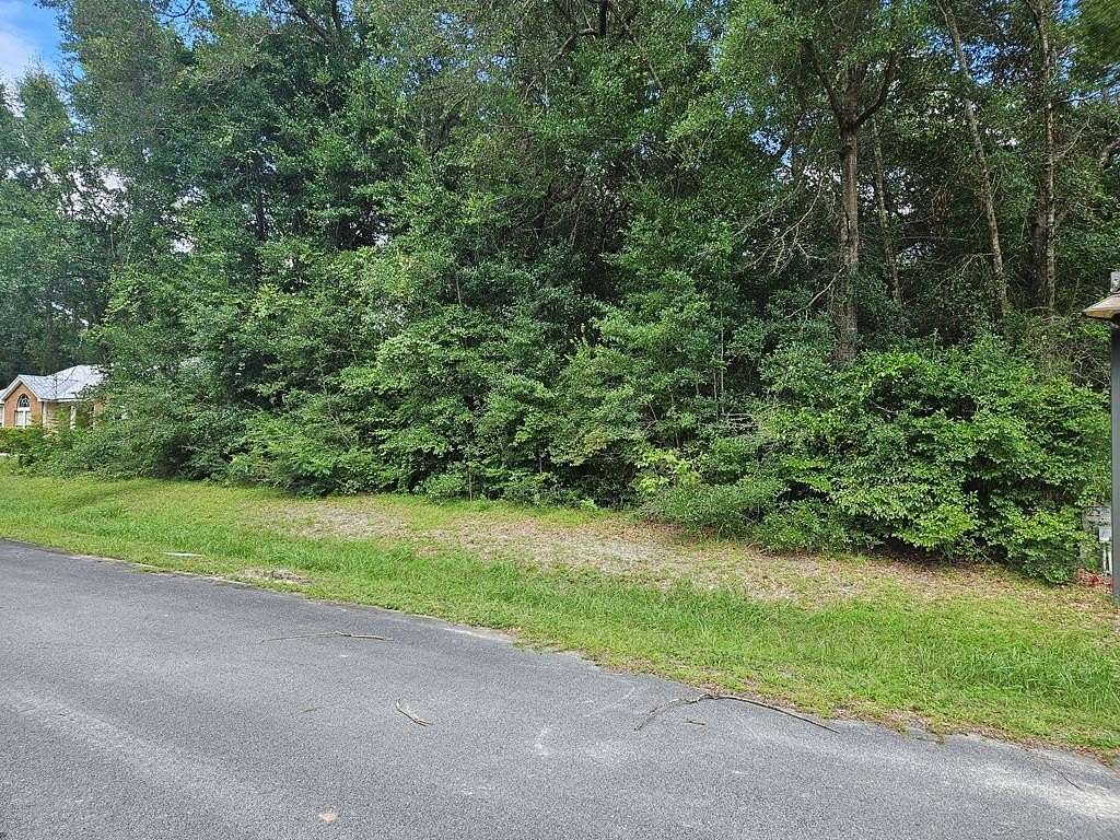 0.5 Acres of Residential Land for Sale in Wewahitchka, Florida