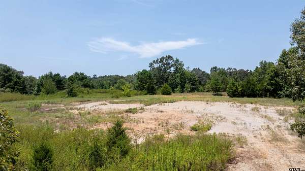 25 Acres of Recreational Land for Sale in Tyler, Texas
