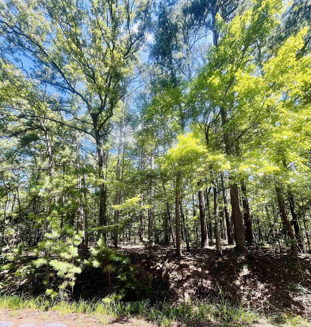 0.25 Acres of Residential Land for Sale in Hot Springs Village, Arkansas