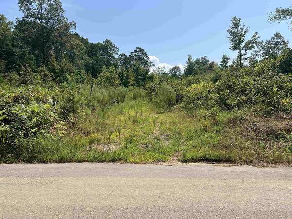 7 Acres of Residential Land for Sale in Bismarck, Arkansas