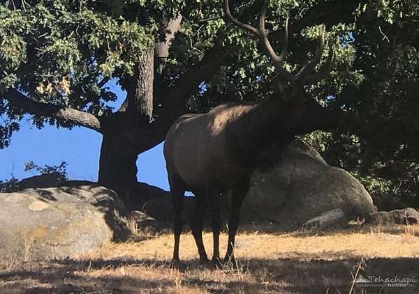 1 Acre of Residential Land for Sale in Tehachapi, California
