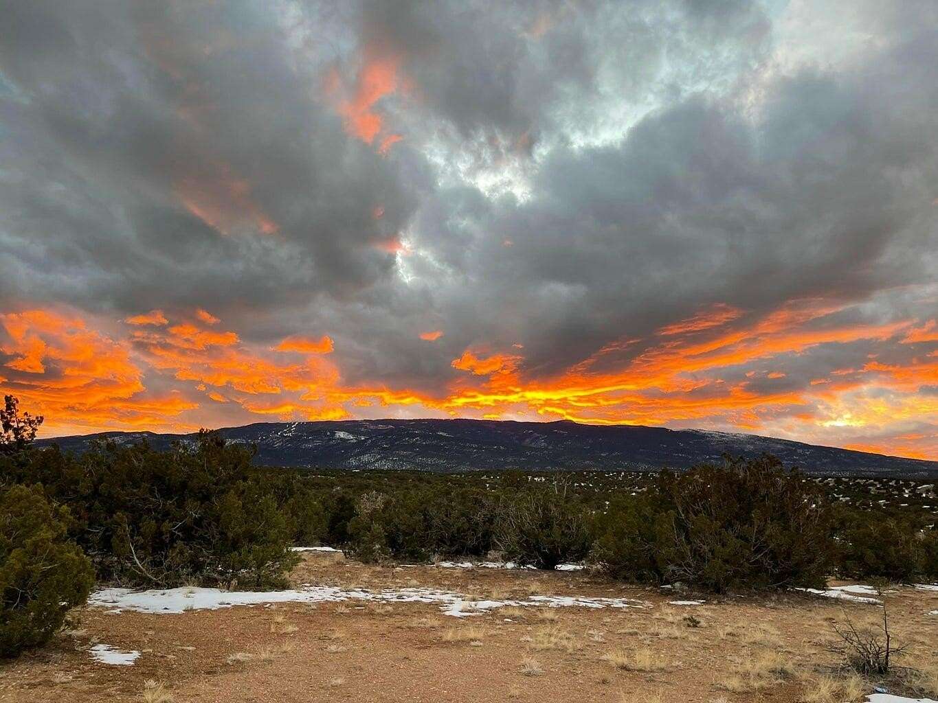 12.3 Acres of Land for Sale in Sandia Park, New Mexico