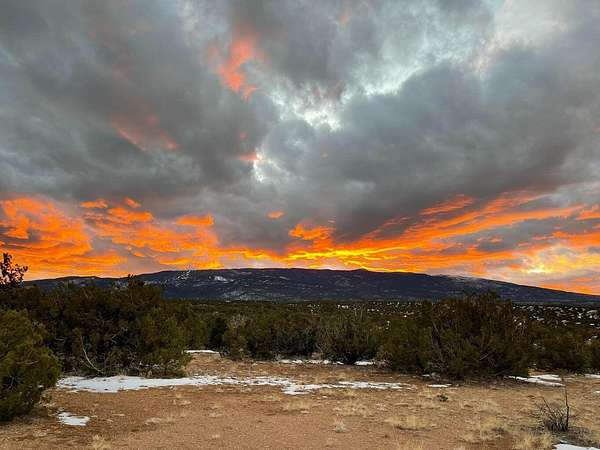 12.3 Acres of Land for Sale in Sandia Park, New Mexico