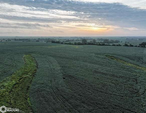 116 Acres of Agricultural Land for Auction in Allerton, Iowa
