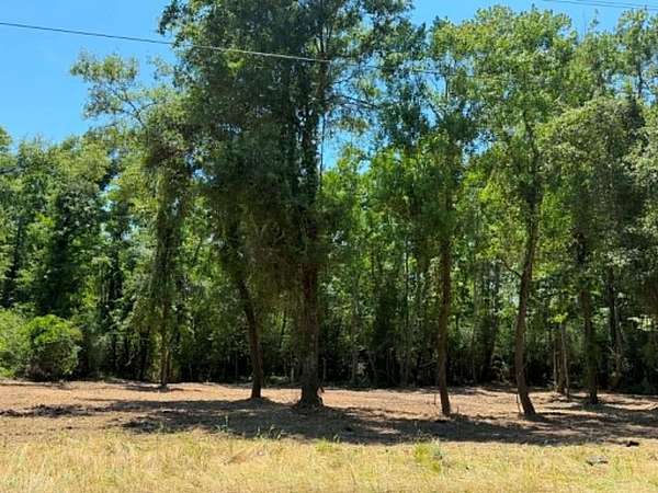 4.59 Acres of Residential Land for Sale in Ellisville, Mississippi
