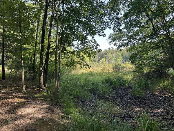 3 Acres of Residential Land for Sale in Montague, Michigan