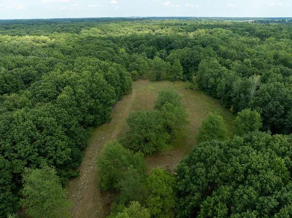 39 Acres of Recreational Land for Sale in Alma, Michigan