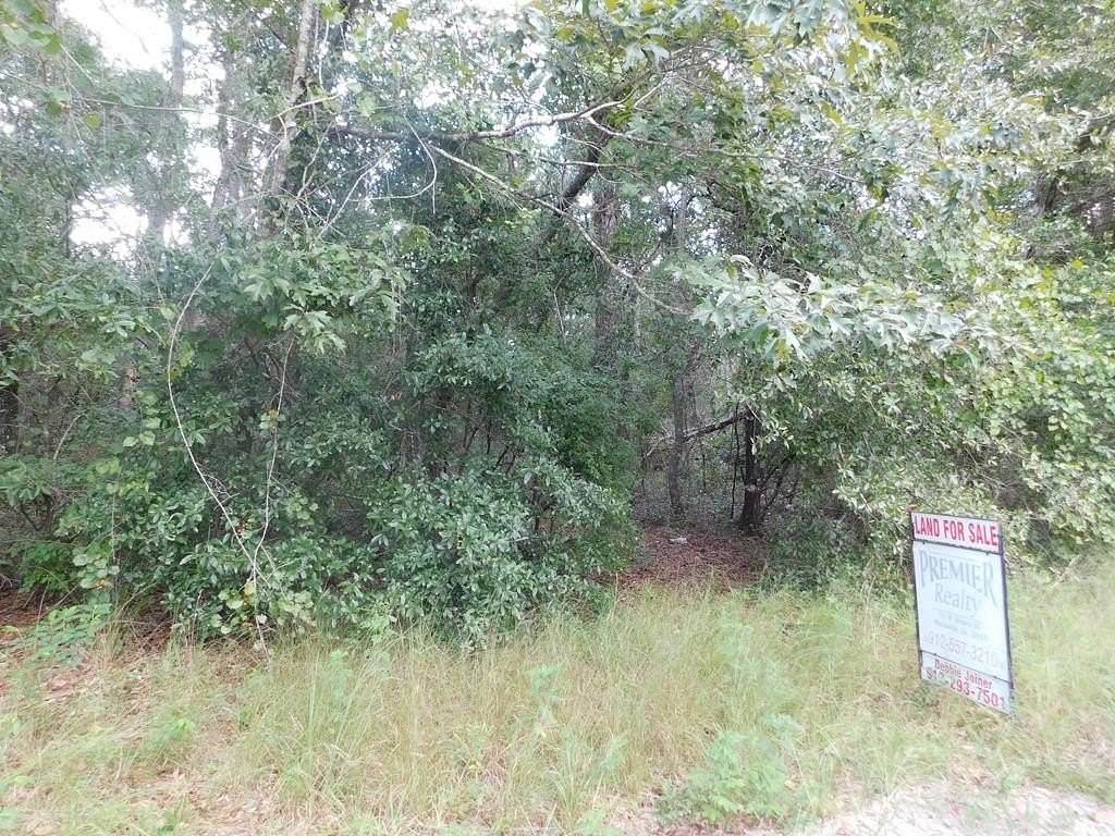 1 Acre of Residential Land for Sale in Reidsville, Georgia