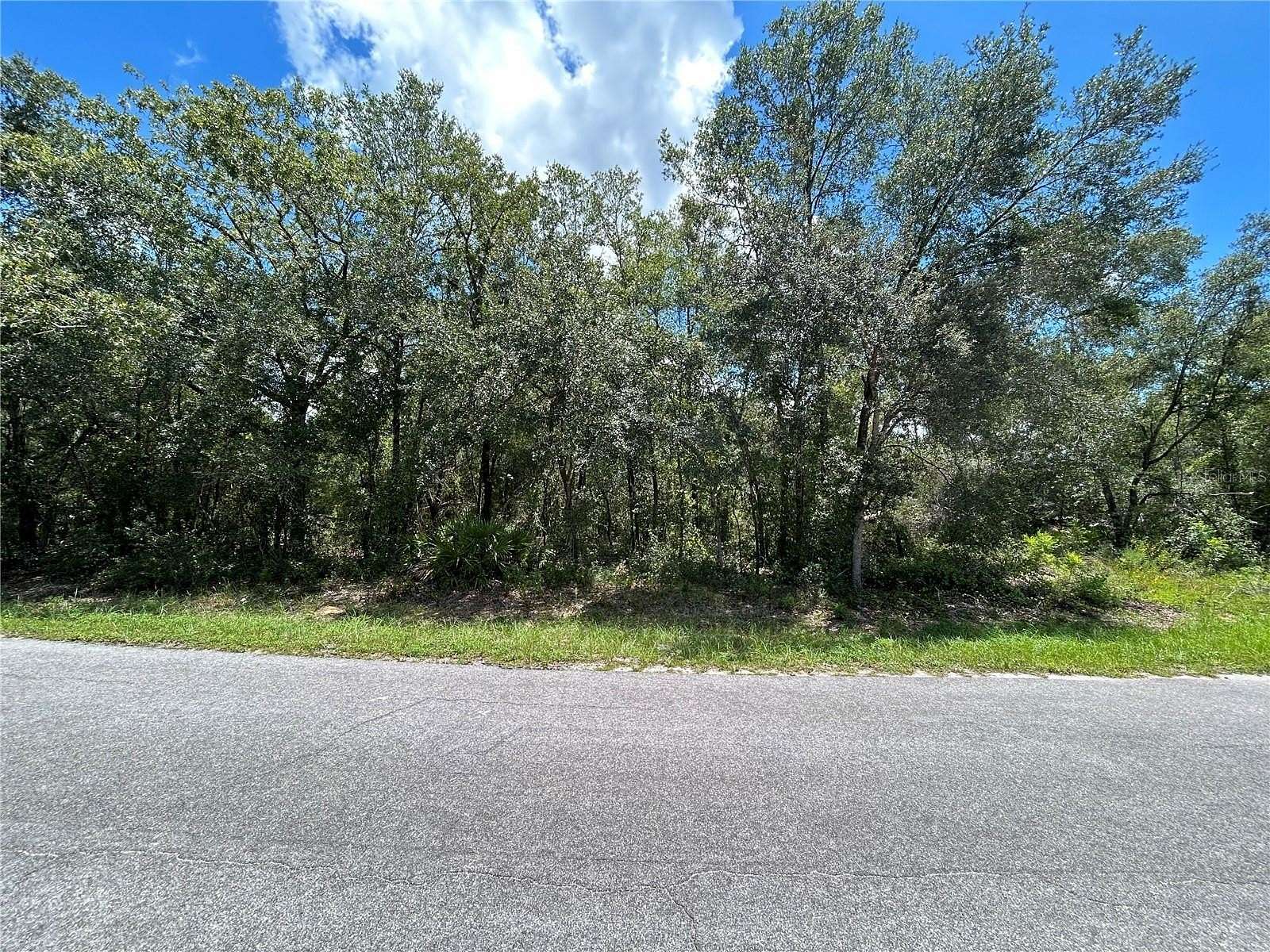 0.23 Acres of Residential Land for Sale in Ocklawaha, Florida