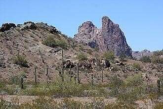 0.98 Acres of Land for Sale in Tonopah, Arizona