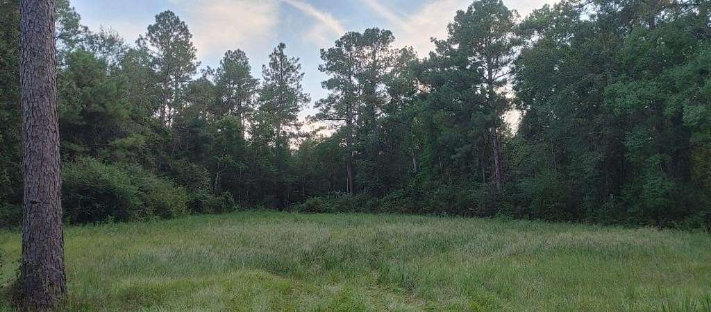 0.98 Acres of Residential Land for Sale in Carriere, Mississippi