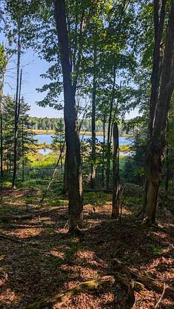 2.87 Acres of Land for Sale in Mercer, Wisconsin