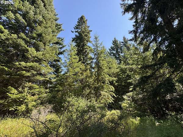 20 Acres of Recreational Land for Sale in Bingen, Washington