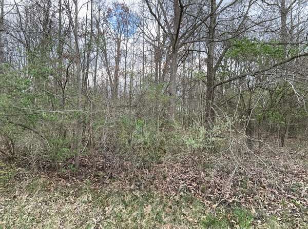 2 Acres of Residential Land for Sale in Ostrander, Ohio
