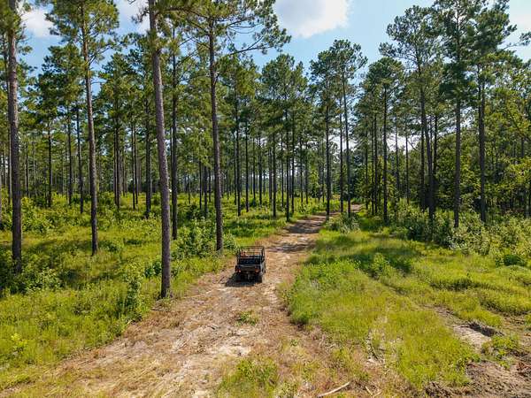197 Acres of Land for Sale in Cobbtown, Georgia