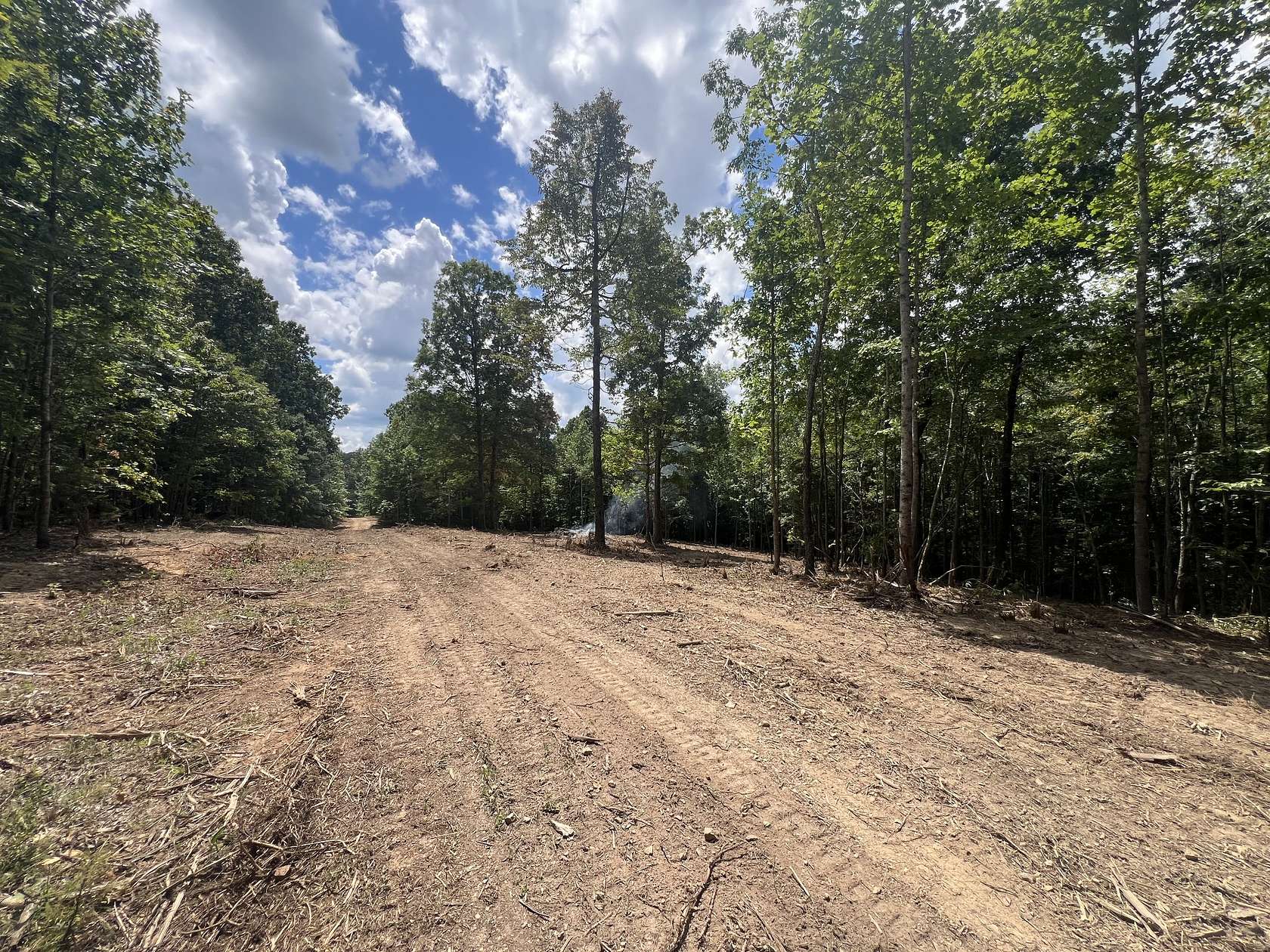 11.7 Acres of Land for Sale in Vanleer, Tennessee