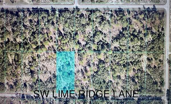 0.99 Acres of Residential Land for Sale in Dunnellon, Florida