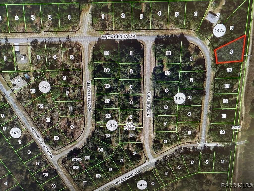 0.29 Acres of Land for Sale in Citrus Springs, Florida
