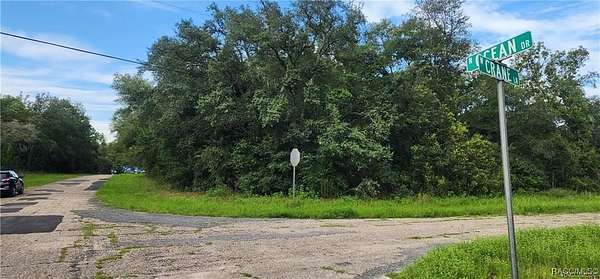 0.29 Acres of Residential Land for Sale in Citrus Springs, Florida