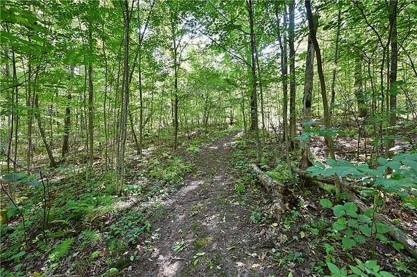13.1 Acres of Recreational Land for Sale in Rice Lake, Wisconsin