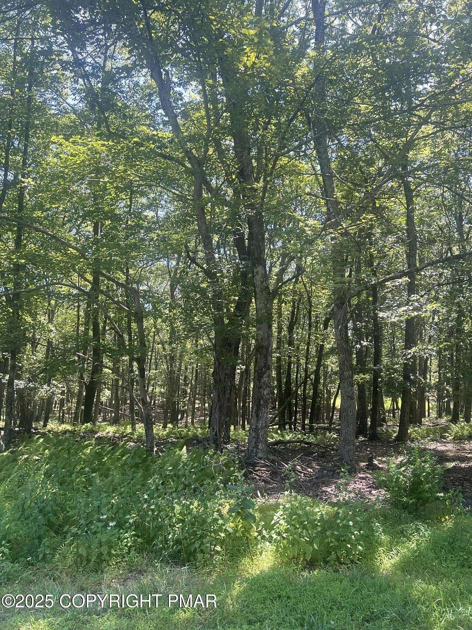 0.46 Acres of Land for Sale in Bushkill, Pennsylvania