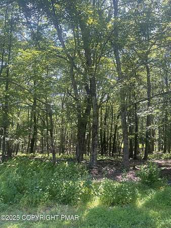 0.46 Acres of Land for Sale in Bushkill, Pennsylvania