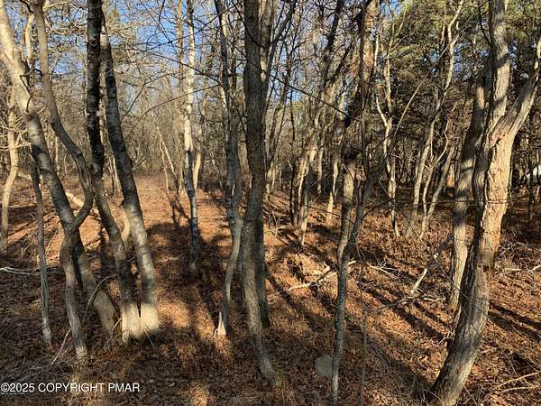 0.28 Acres of Residential Land for Sale in Albrightsville, Pennsylvania