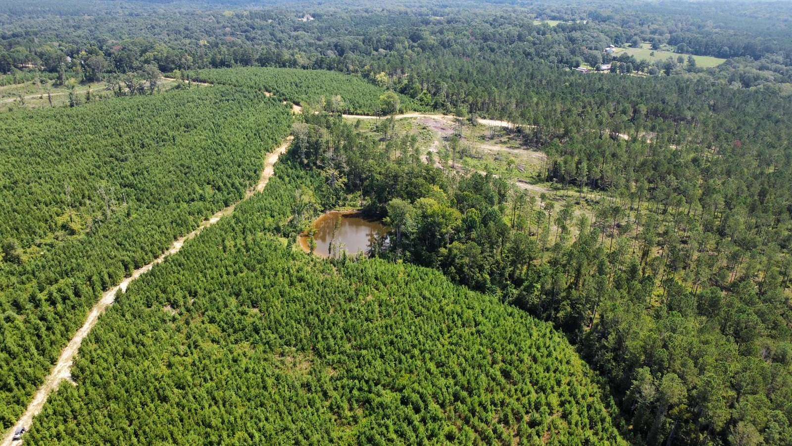 183 Acres of Recreational Land for Sale in New Hebron, Mississippi