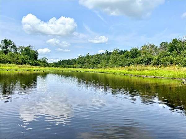 20 Acres of Recreational Land for Sale in Ojibwa, Wisconsin