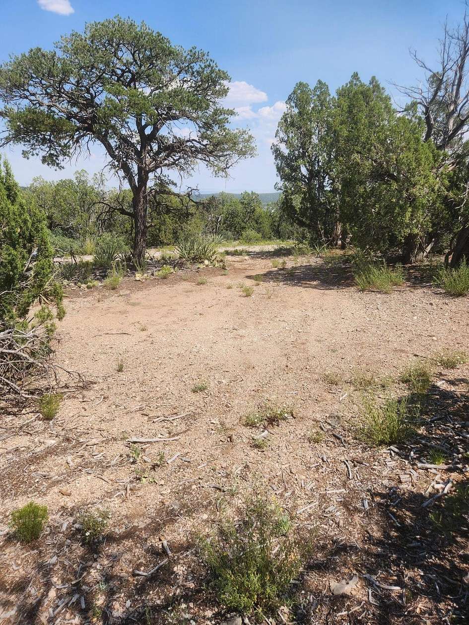 1 Acre of Land for Sale in Edgewood, New Mexico