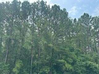 27.5 Acres of Recreational Land for Sale in Quitman, Mississippi