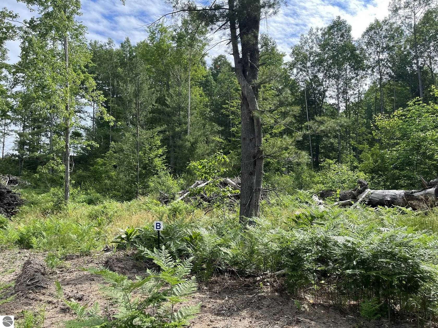 1 Acre of Land for Sale in Traverse City, Michigan
