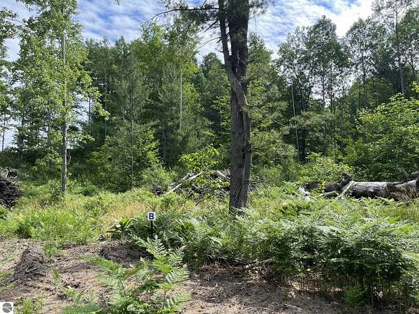 1 Acre of Land for Sale in Traverse City, Michigan