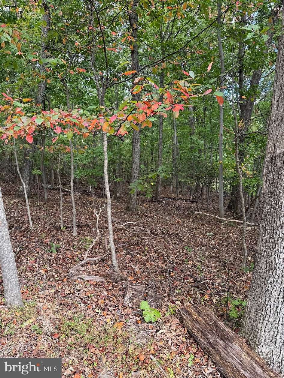 3.46 Acres of Residential Land for Sale in Haymarket, Virginia