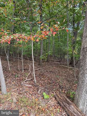 3.46 Acres of Residential Land for Sale in Haymarket, Virginia