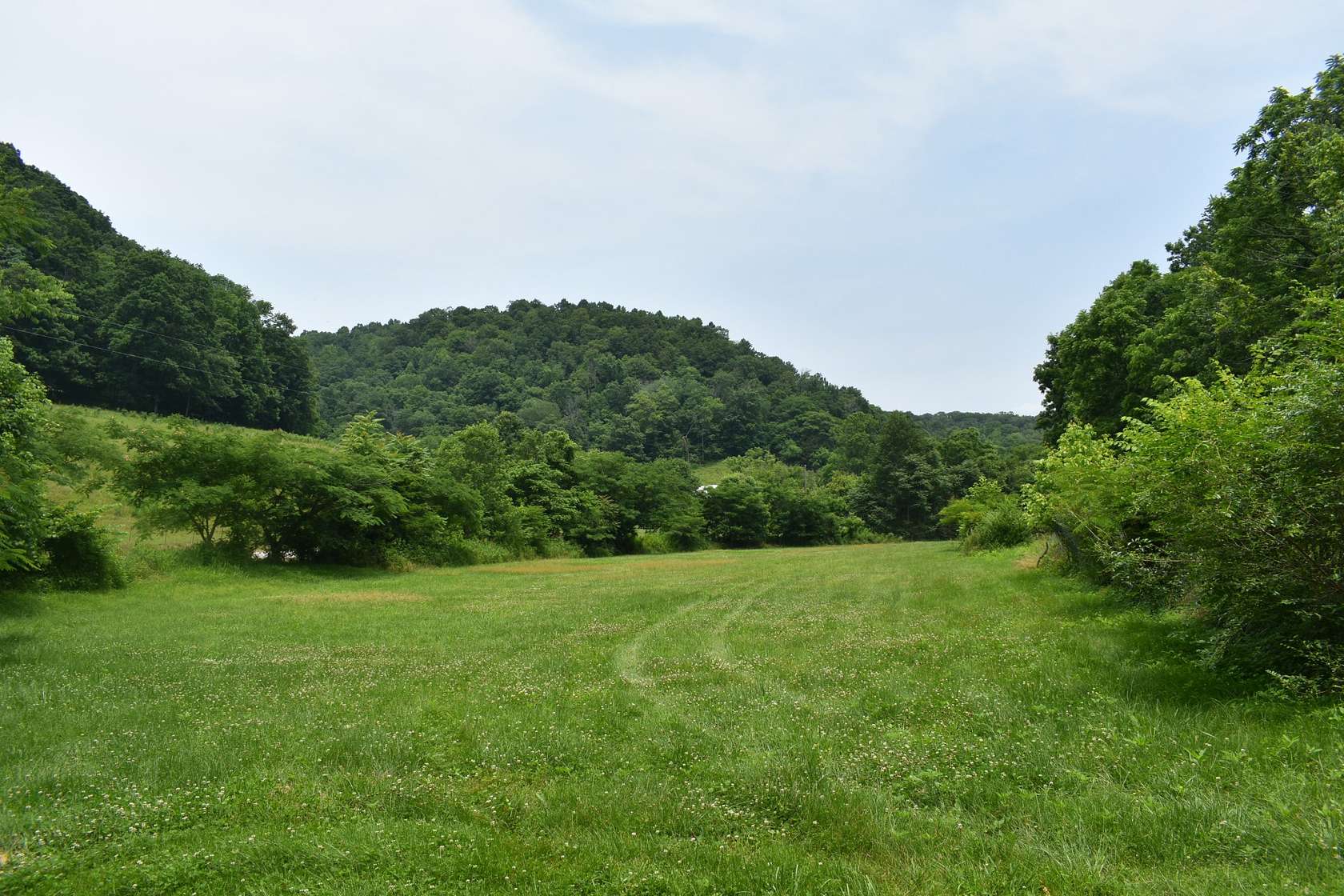 8.83 Acres of Residential Land for Sale in Pleasant Shade, Tennessee