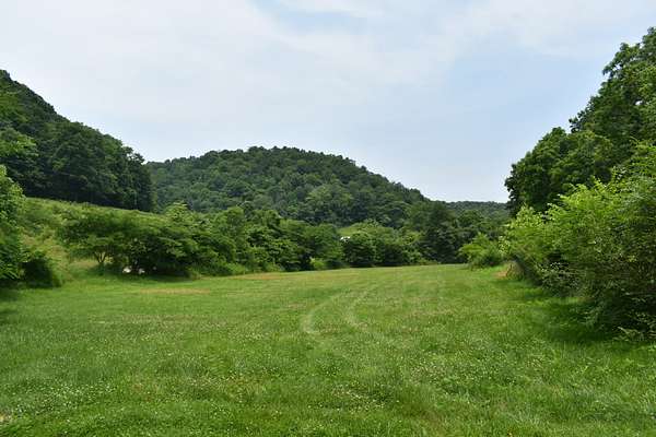 8.83 Acres of Residential Land for Sale in Pleasant Shade, Tennessee