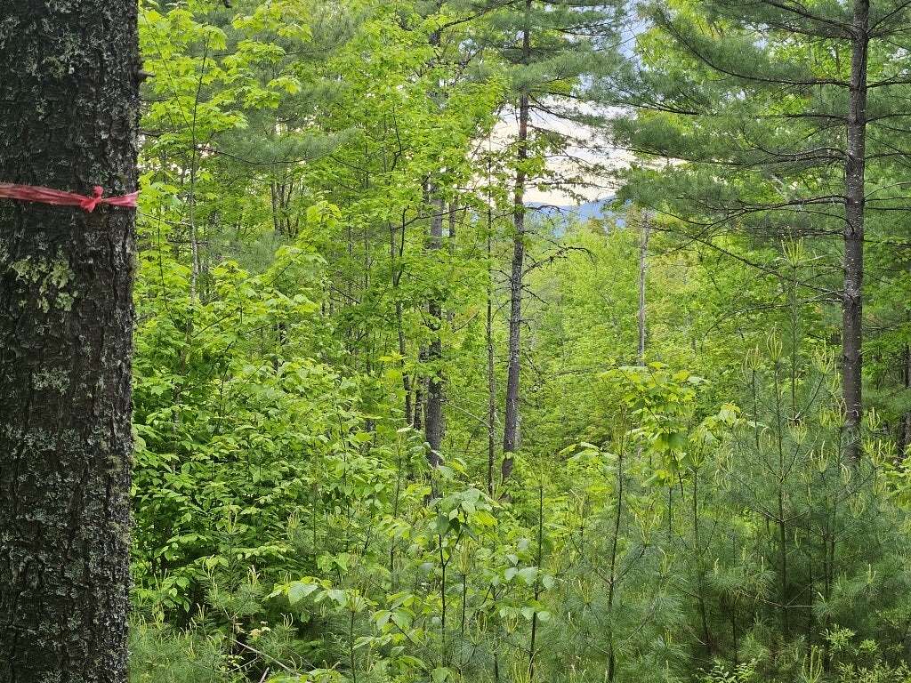52 Acres of Land for Sale in Fryeburg, Maine