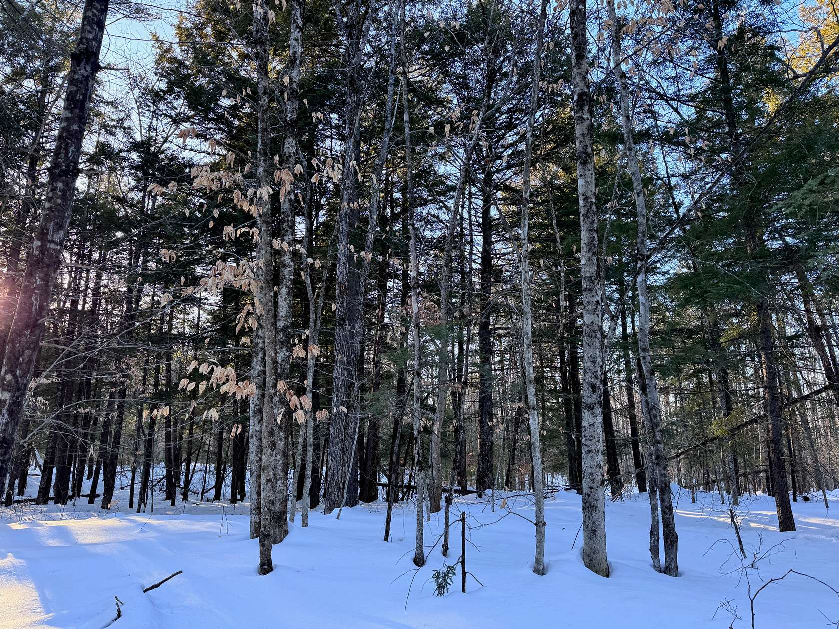 52 Acres of Land for Sale in Fryeburg, Maine