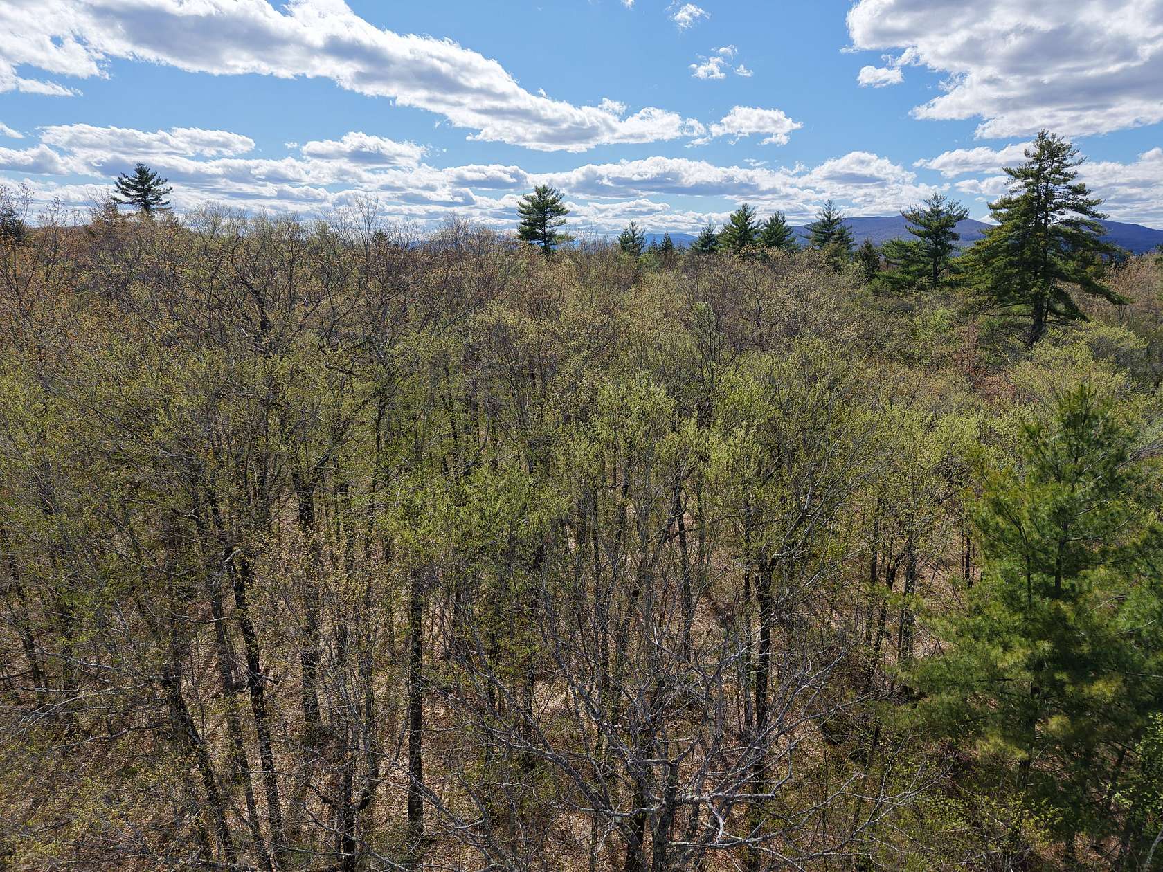 52 Acres of Land for Sale in Fryeburg, Maine