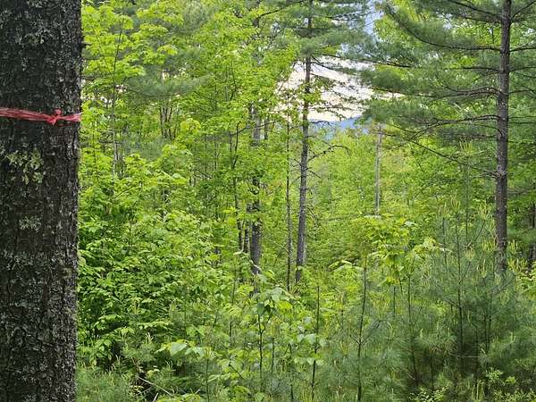 52 Acres of Land for Sale in Fryeburg, Maine