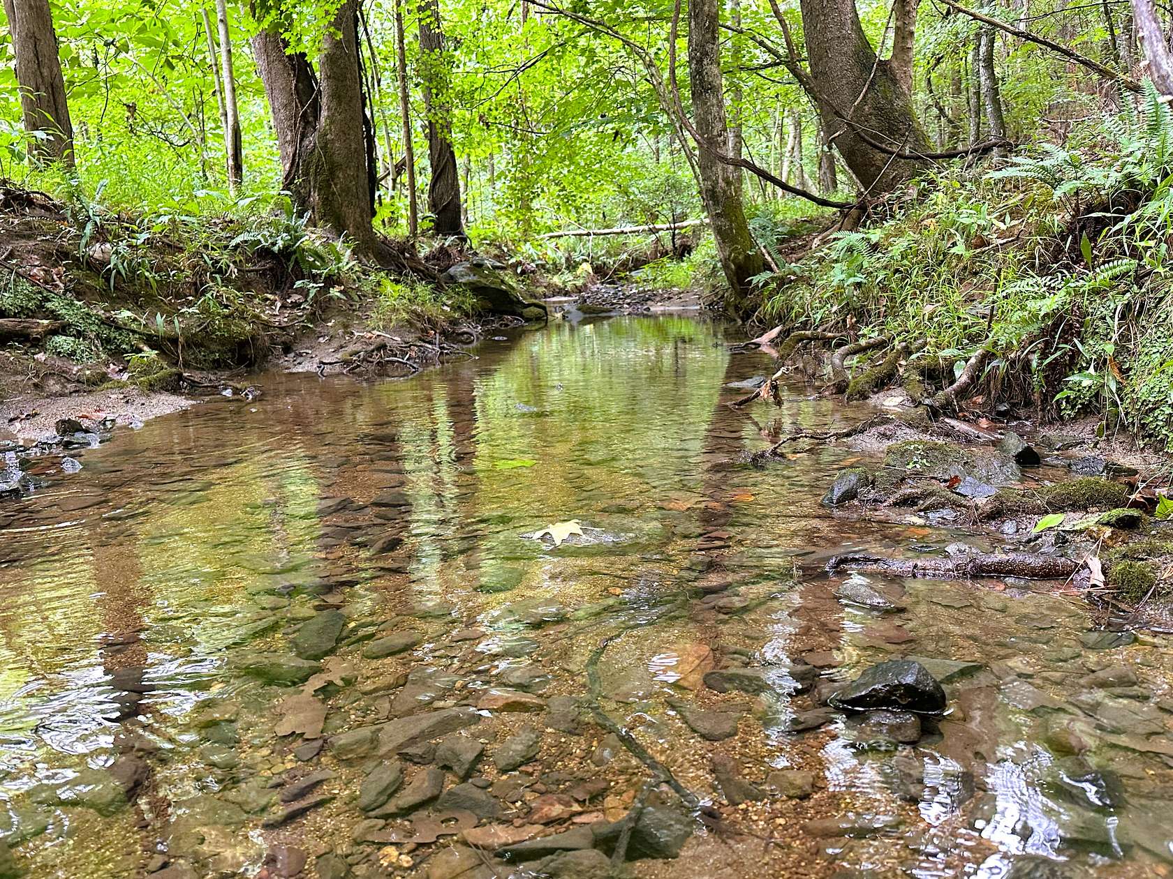 514 Acres of Recreational Land for Sale in Sharon, South Carolina