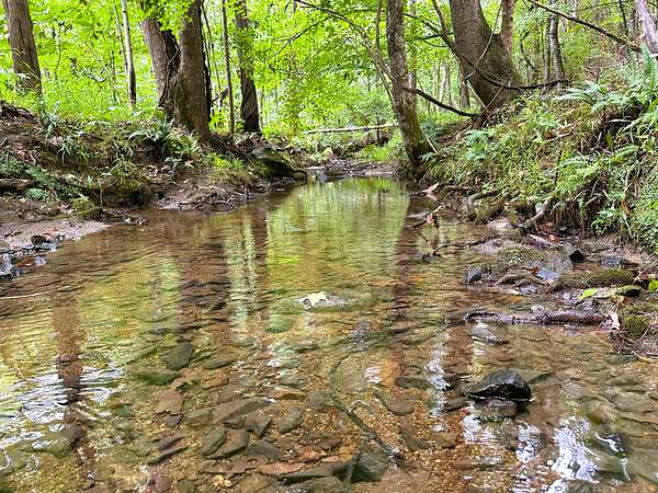 514 Acres of Recreational Land for Sale in Sharon, South Carolina